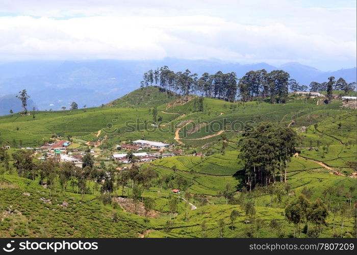 Village and tea plantations on the hills in Sri Lanka