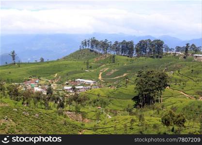 Village and tea plantations on the hills in Sri Lanka