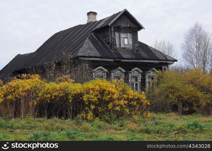 Village house and golden bushes in the fall in Central Russia