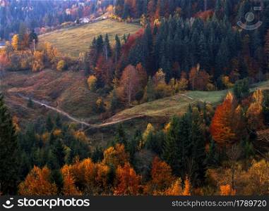 Village Houses and autumn foliage trees in the mountains. Meadow and forest in the carpathian mountains