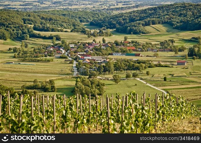 Village in green natural scenery under vineyard hill, Kalnik, Croatia
