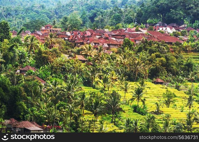 Village in Indonesia