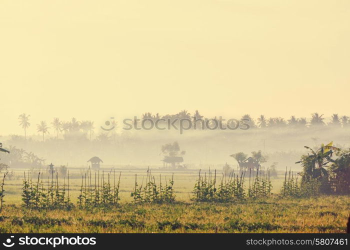 Village in Indonesia