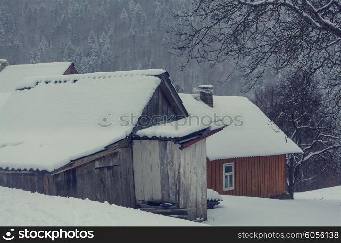 Village in the winter
