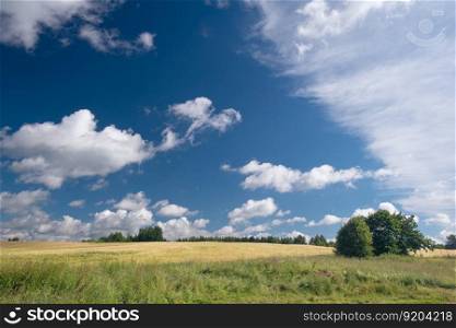 Village landscape on a summer sunny day, a meadow with trees and bushes and a sky with clouds. Village landscape on a summer sunny day