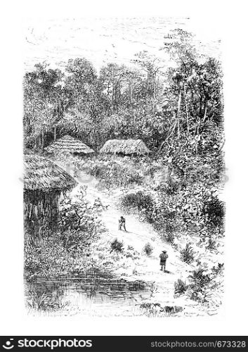 Village of Guineo in Amazonas, Brazil, drawing by Riou from a photograph, vintage engraved illustration. Le Tour du Monde, Travel Journal, 1881