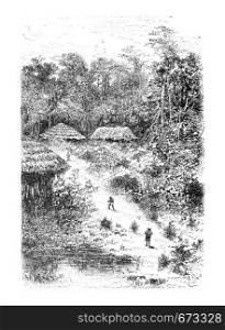 Village of Guineo in Amazonas, Brazil, drawing by Riou from a photograph, vintage engraved illustration. Le Tour du Monde, Travel Journal, 1881