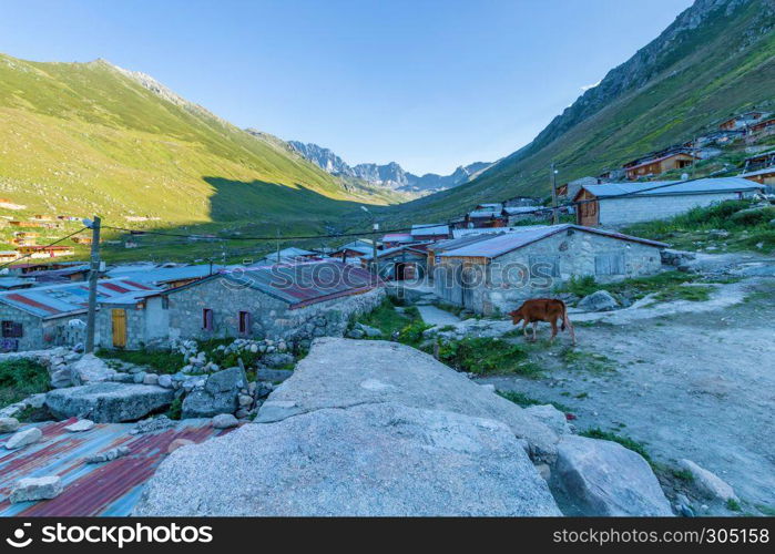 Village of Kavrun plateau or tableland in Kackar Mountains or simply Kackars in Camlihemsin, Rize, Turkey.. Village of Kavrun plateau or tableland in Kackar Mountains