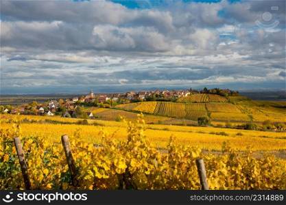 village of Zellenberg in Alsace in France