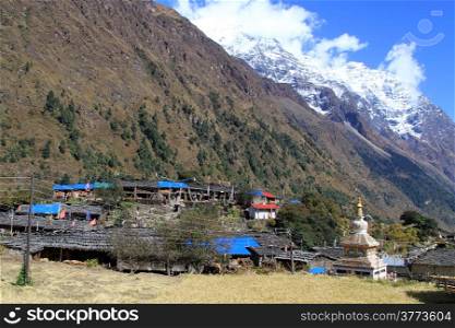 Village with buddhist dagoba in Nepal