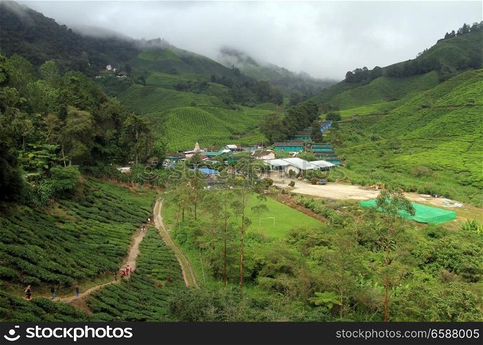 Village with temple and tea plantation in Cameron Highlands, Malaysia