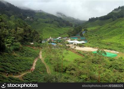 Village with temple and tea plantation in Cameron Highlands, Malaysia