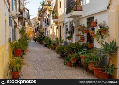 Villajoyosa, Spain - 20 January, 2022: narrow street with many plants and flowers in the center of the historic old town