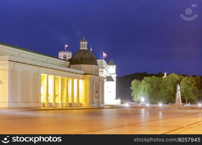 Vilnius. Cathedral of St. Stanislaus in the central square.. Cathedral of St. Stanislaus and the bell tower in the center of Vilnius at night.