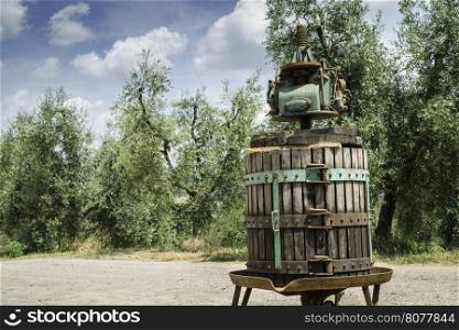 Vinatge olive press and olive trees on backgrund