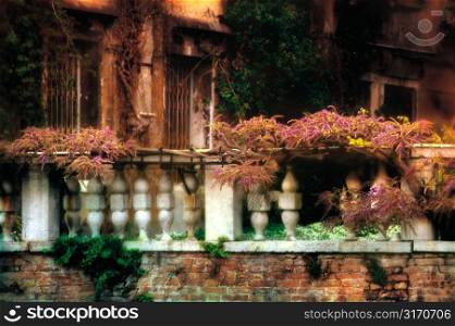 Vine-Covered Balustrade in Garden of Historic Building