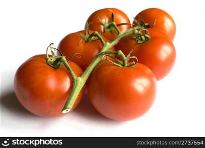 Vine tomatoes isolated on white