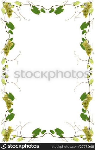 vineleaves with bunches of grapes for a wine list