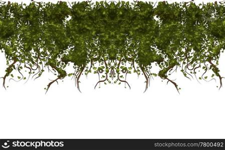 vines. large illustration of ivy or vines hanging down