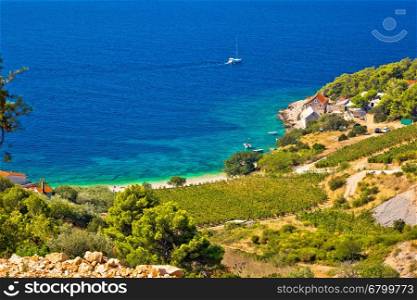 Vineyard and beach in picturesque village Farska bay, island of Brac, Dalmatia, Croatia