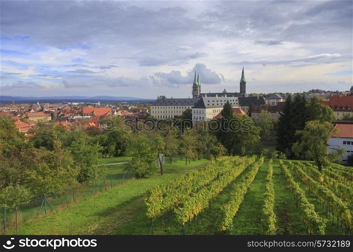 Vineyard and cathedral in Bamberg, Germany&#xA;