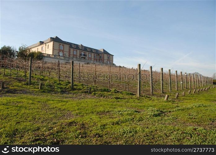 Vineyard and chateau, Napa, California