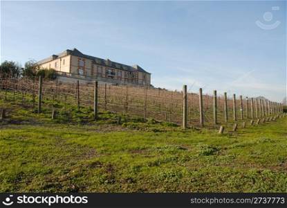 Vineyard and chateau, Napa, California