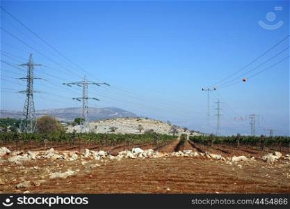 Vineyard and electrical pylons in Galilee