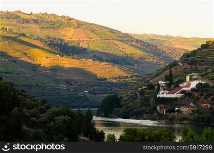 vineyard hills in the river Douro valley, Portugal