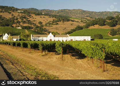 Vineyard in front of a building