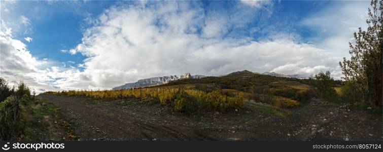 Vineyard on a background of mountains and sky. clouds over the mountains and vineyards. panorama