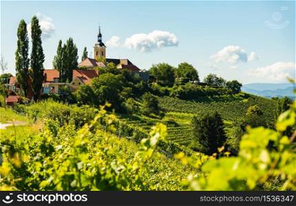 Vineyard on Austrian countryside with a church in the background. Kitzeck im Sausal. Vineyard on Austrian countryside with a church in the background.