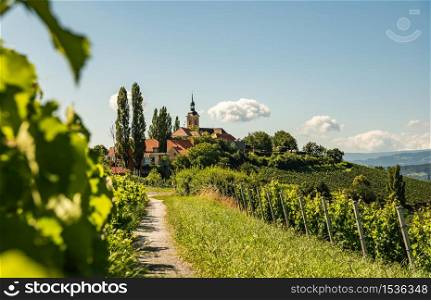 Vineyard on Austrian countryside with a church in the background. Kitzeck im Sausal. Vineyard on Austrian countryside with a church in the background.
