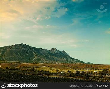 Vineyard on the hilly mountain, environmental backgrounds