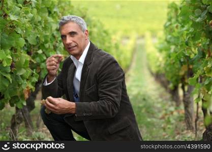 vineyard owner