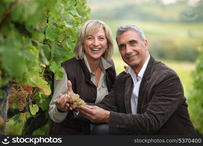 Vineyard owners holding a bunch of grapes