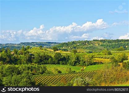 Vineyard with Ripe Grapes in the Autumn on the Background of Italian Village