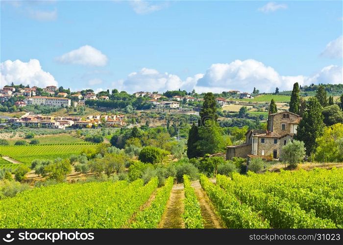 Vineyard with Ripe Grapes in the Autumn on the Background of Medieval Italian City