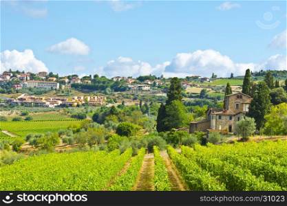 Vineyard with Ripe Grapes in the Autumn on the Background of Medieval Italian City