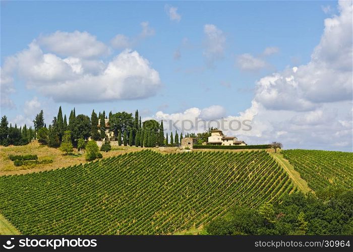 Vineyard with Ripe Grapes in the Autumn on the Background of Small Italian Village