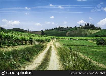 Vineyards and farm road in Toscana, Italy.