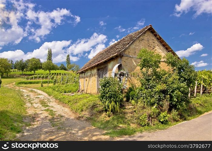 Vineyards and mud made cottage in Prigorje region, Croatia