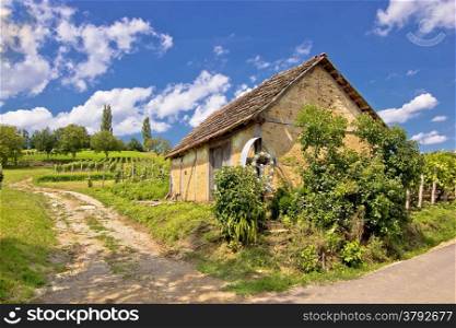 Vineyards and mud made cottage in Prigorje region, Croatia