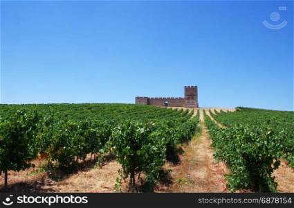Vineyards and old castle in Alentejo region,Portugal