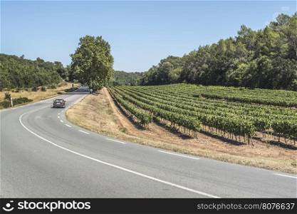 Vineyards and road in France