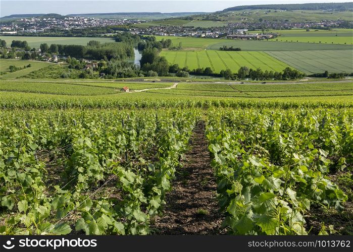 "Vineyards and the River Marne at Hautvillers near Epernay (in background), south of Reims in northern France. Epernay is best known as the principal "entrepot" for champagne wines."