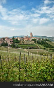 Vineyards around a country town