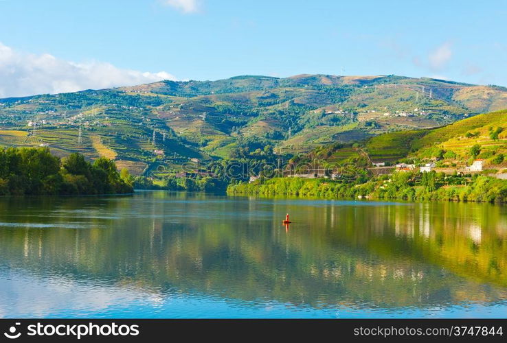 Vineyards in the Valley of the River Douro, Portugal