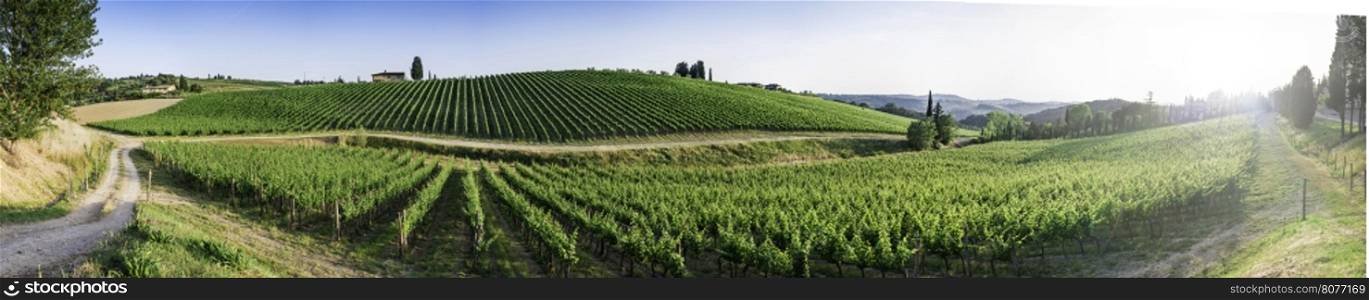 Vineyards in Tuscany. Farm house.Panoramic view