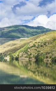 Vineyards of the River Douro region in Portugal. Sights of the Portuguese countryside